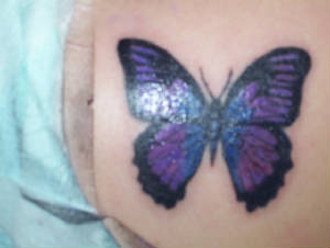 butterfly.jpg